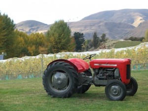 Otago